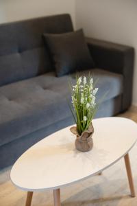 Nimaria Suites