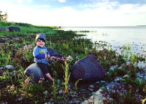 Kuivastujaani