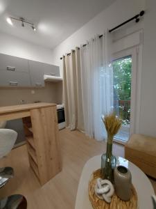 DM Apartments