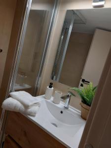 DM Apartments