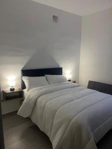 Ideal para adultos mayores y grupos de trabajo ISSSTE 3 Habitación 1 en planta baja 3 baños completos