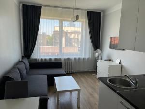 VILNIUS central apartments