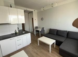 VILNIUS central apartments