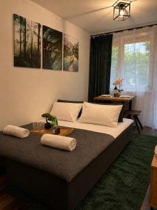 Apartament 3 sypialnie, Lipowa Aleja, Husarska 1,Rzeszów Centrum