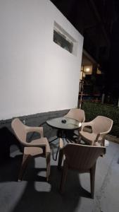 Milan Montenegro