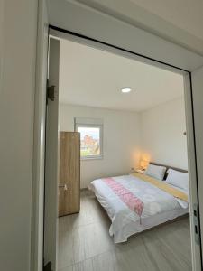 Luxury apartment just 5 minutes from Belgrade Airport featuring a large TV two bedrooms and a swimming pool