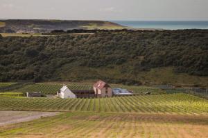 Hotel Flint Barns, Rathfinny Wine Estate Alfriston Velika Britanija