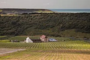 Flint Barns, Rathfinny Wine Estate - ألفريستون