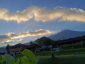 Uoemah gunung baturaden