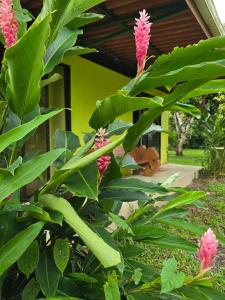 Canto del Mar Guest House