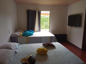 Habitación a 15 minutos de Rio Celeste y Volcán Tenorio, Bijagua de Upala