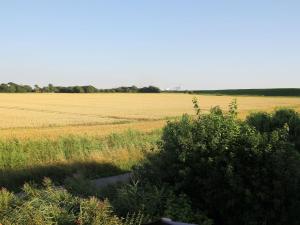 Holiday home in Wremen with swimming pool