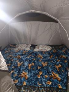 The Real Gurez Base Camp