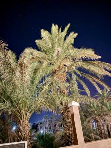 Dar Zagora Oasis - Authentic Moroccan Stay