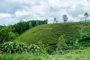 S Tilu Heroy Hill Resort Pangalengan Bandung RedPartner