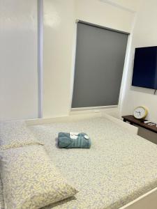 Roam and Rest Fully Furnished Antipolo Townhouse