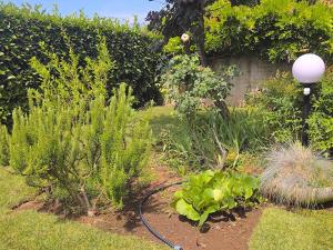 Charming Tuscan Villa-Sea, Mountains, Terrace & Pivat Garden
