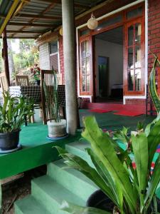 Green Heaven Lodge