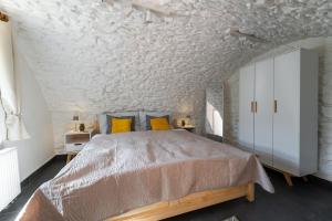 Charming Historic Cottage with Two Apartments near Prague Zoo