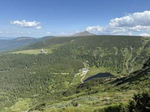 Mega widok 6