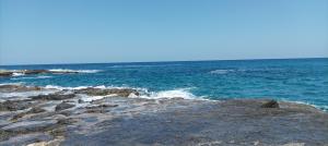 Little Paradise