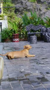 Trang An by Linh Homestay