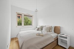 INA RENT Angielska Grobla