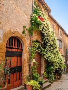 Charming House in Barbarano Romano with Terrace and Fireplace
