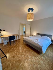 Basic Apartment in Witikon district