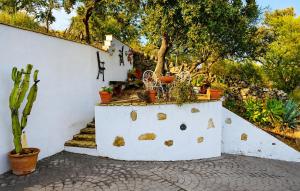 Cozy Home In El Castillo De Las Gua