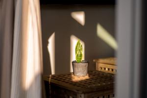 Alonissos boutique apartments