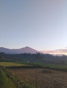 Lombok Grace Bungalows