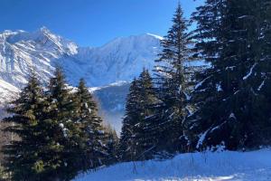 T2 with pool in Saint-Gervais-les-Bains