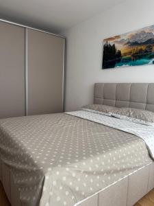 Pirin Family Apartment