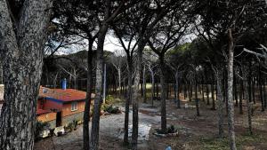 La Pineta - between the pine forest and the sea