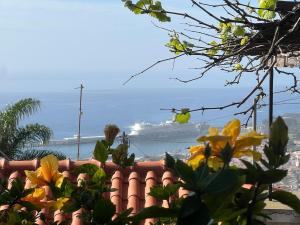 Casa das Flores Garden
