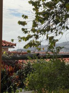 Casa das Flores Garden