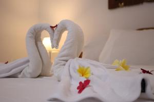 The Kori Homestay