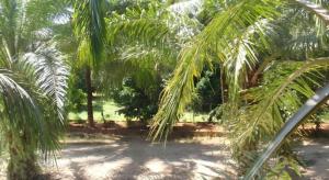 Phuendernthang Resort