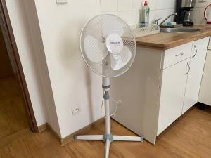 Flat in Center Teplice
