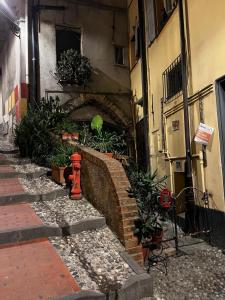 Appartamento tra le finestre blu della pigna