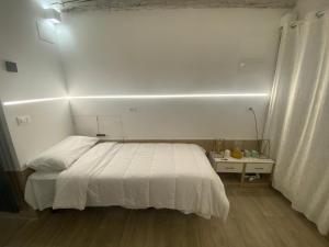 Luxury Apartment