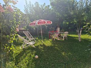 Gardenhouse