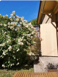 Kaktu Guest Home with own little yard