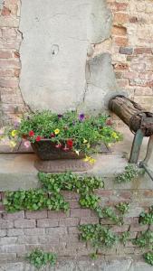 Casa Ollearo Monferrato- A Room with a view