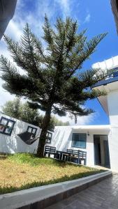 Oualidia surf house Garden villa