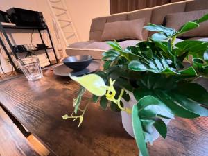 NEW OPEN Cozy Loft 5-Min Drive to Marine Messe Up to 4 Guests