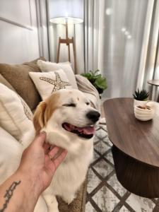 Jurata Marina Apartament Bosmański