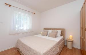 Amazing Apartment In Vir With Wifi