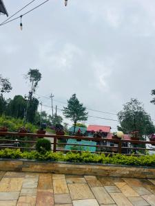 Pine Tree Resort